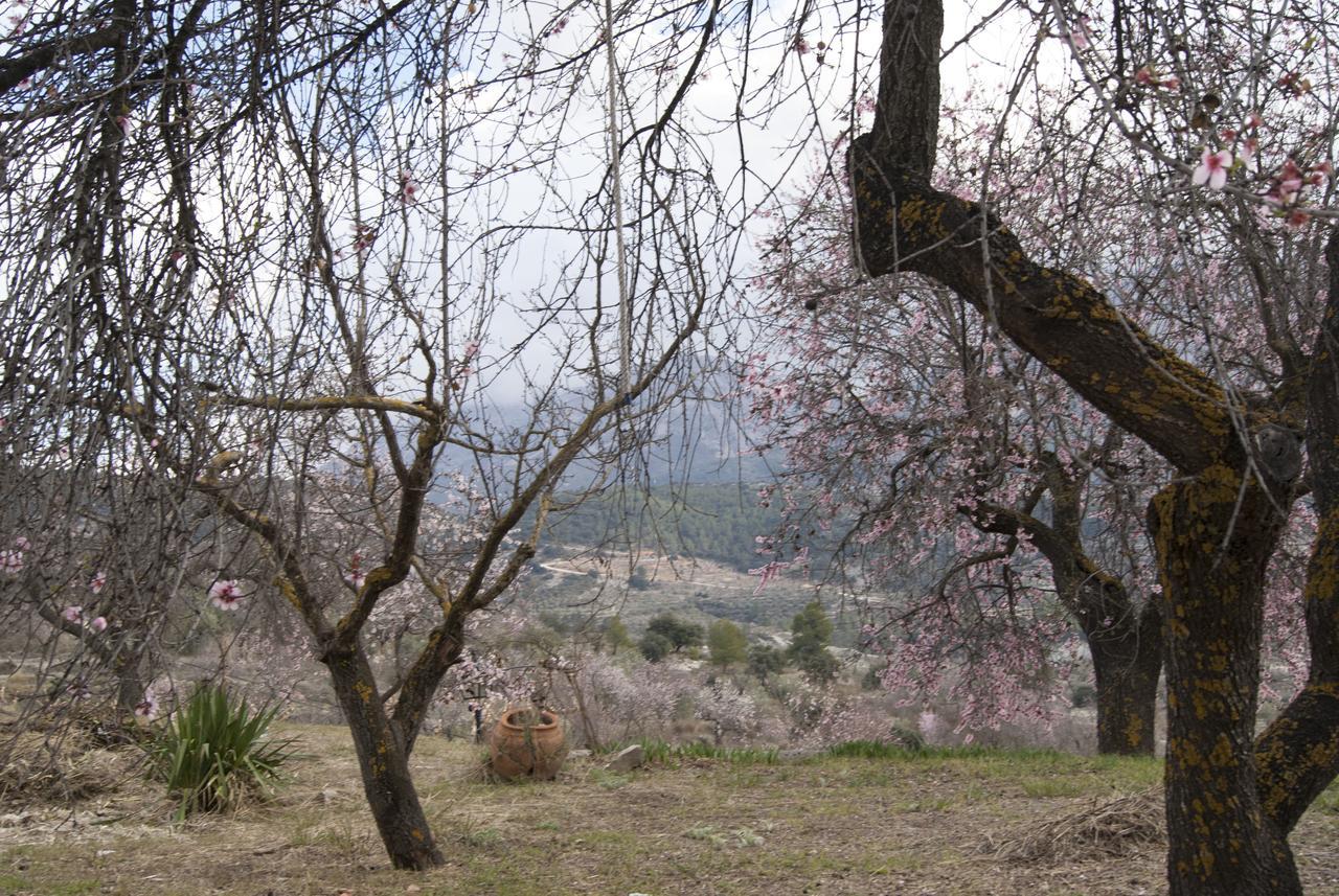 Hotel Rural Valhalla Benimassot Εξωτερικό φωτογραφία